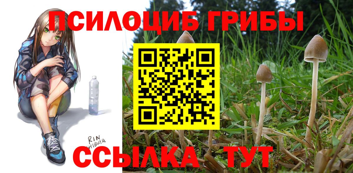 Псилоцибиновые грибы MAGIC MUSHROOMS  Вход с VPN  Рузаевка 